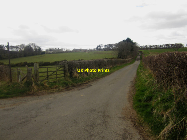 Photo 6"x4" Farm lane to Belford Mains Belford\/NU1033 c2013