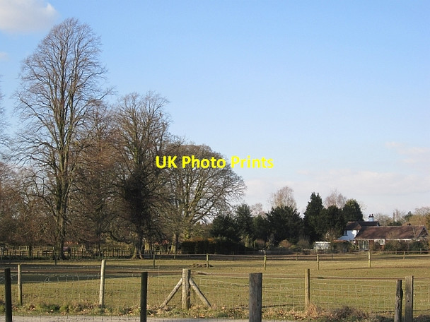Photo 6"x4" The Park without  the hornbeam Ashford Carbonell c2013
