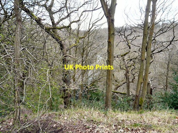 Photo 6"x4" Haughton Dale Hyde\/SJ9494 c2013