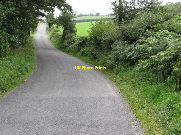 Photo 6"x4" View west along the ascending Wood Road Annsborough c2011