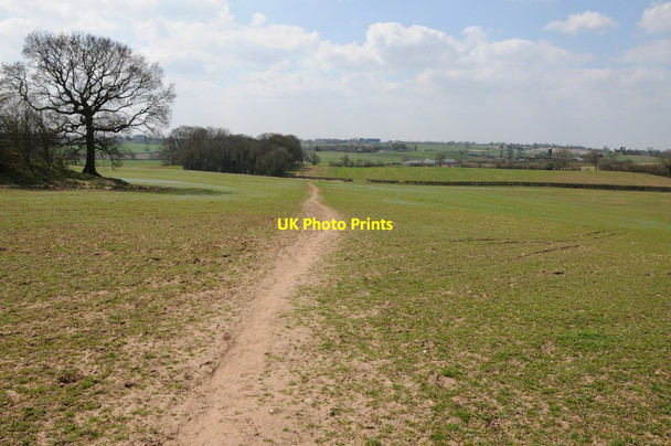 Photo 6"x4" Footpath across farmland Cobley Hill c2013