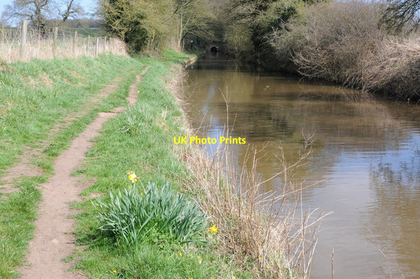 Photo 6"x4" Approaching the Shortwood Tunnel Broad Green\/SO9970 c2013