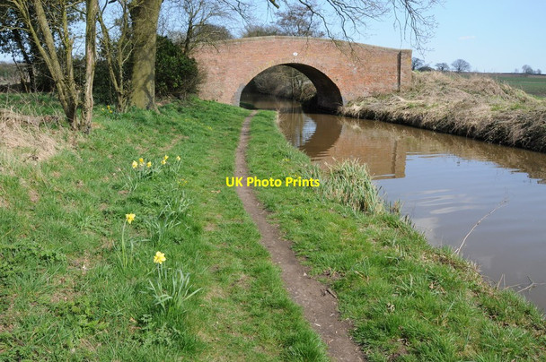 Photo 6"x4" Bridge 58, Worcester and Birmingham Canal Broad Green\/SO9970 c2013