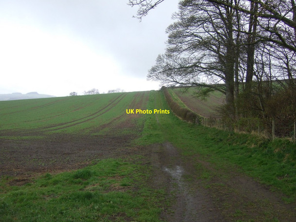 Photo 6"x4" Footpath towards Frankham Fourstones\/NY8967 c2013