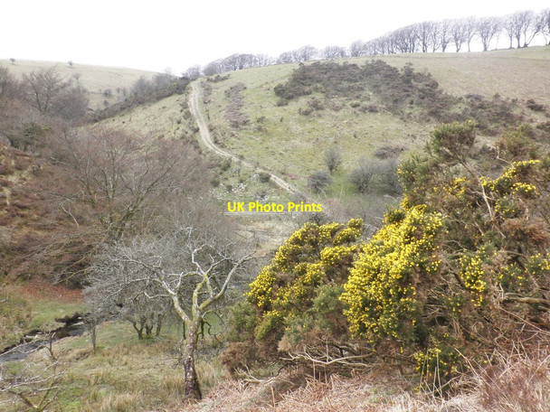 Photo 6"x4" Track to Lucott Farm Exford c2013