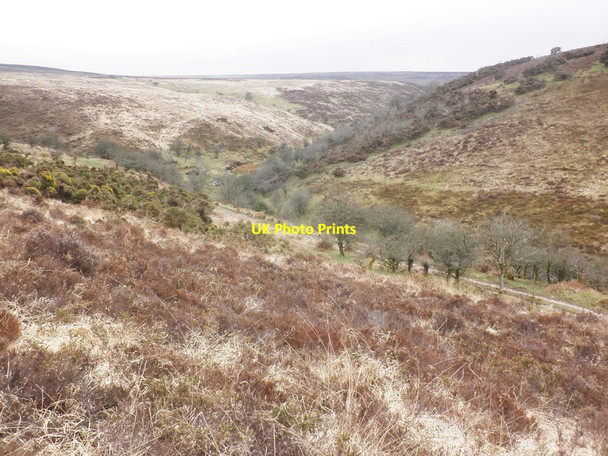 Photo 6"x4" Upper Nutscale Valley Exford c2013