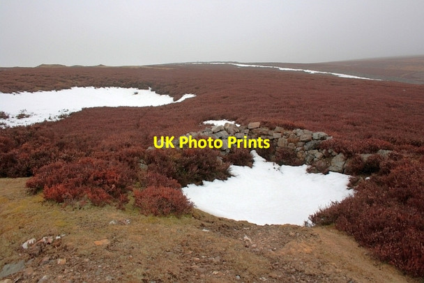 Photo 6"x4" Copperthwaite Allotment Fremington\/SE0499 c2013 P1