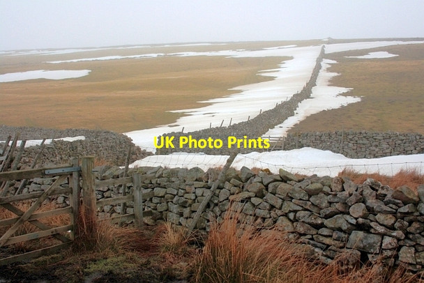 Photo 6"x4" Field Boundary at Owlands Washfold\/NZ0502 c2013