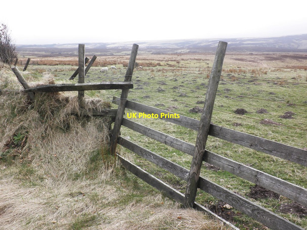 Photo 6"x4" Improvised gateway, on Porlock Common Oareford c2013