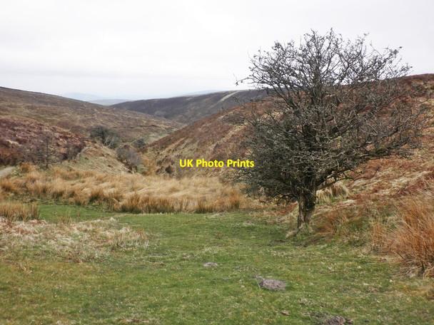 Photo 6"x4" Hawkcombe Head Porlock Weir c2013
