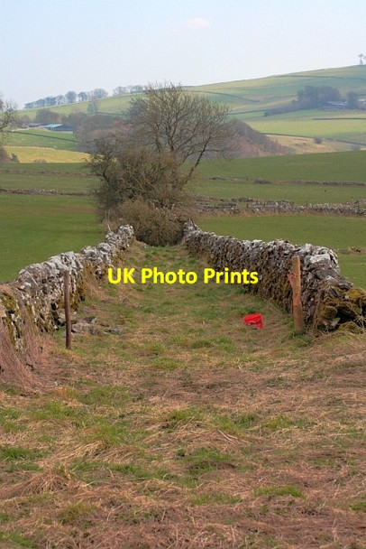 Photo 6"x4" Disused Field Lane Alstonefield c2013
