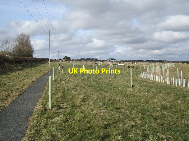 Photo 6"x4" Lowick Community Orchard Lowick\/NU0139 c2013