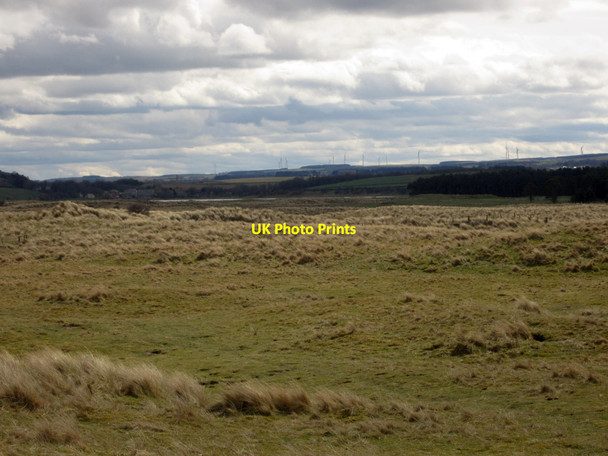 Photo 6"x4" Looking south from the footpath on Ross Links Ross\/NU1337 c2013