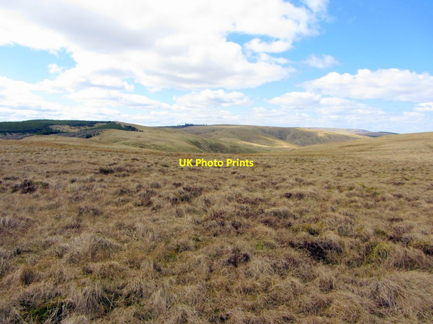 Photo 6"x4" Moorland south of Grindstone Law Upper Hindhope c2013