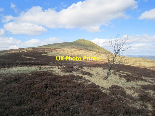 Photo 6"x4" East Lomond Falkland c2013
