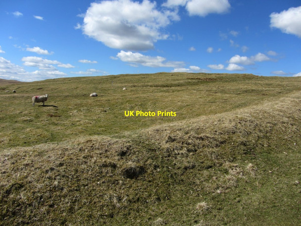 Photo 6"x4" Chew Green from the south-east Upper Hindhope c2013