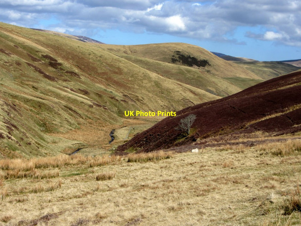 Photo 6"x4" Coquetdale between Makendon & Fulhope Saddlers Knowe c2013