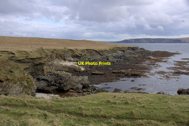 Photo 6"x4" Gorse Geos, Ness of Ramnageo, Muness Ramnageo c2013