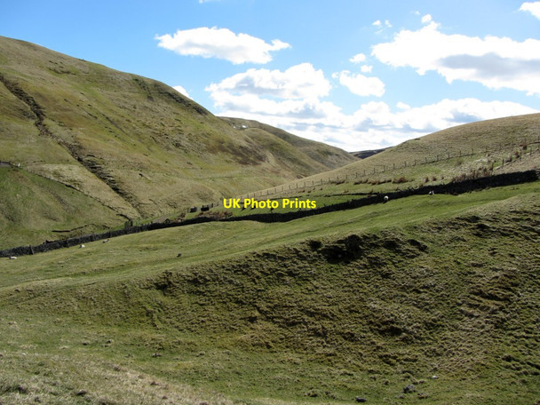 Photo 6"x4" Pasture north of Fulhope Burn Fulhope c2013