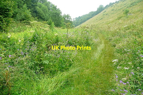 Photo 6"x4" Bridleway in Gratton Dale Dale End\/SK2161 c2012