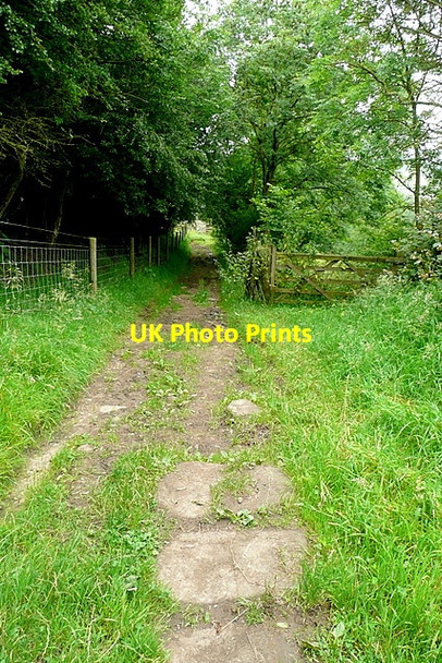 Photo 6"x4" Footpath at Birchover Birchover c2012