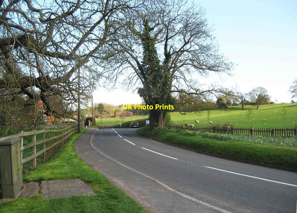 Photo 6"x4" The B4196 road at Shrawley, heading southeast for Worcester Frog Pool c2013