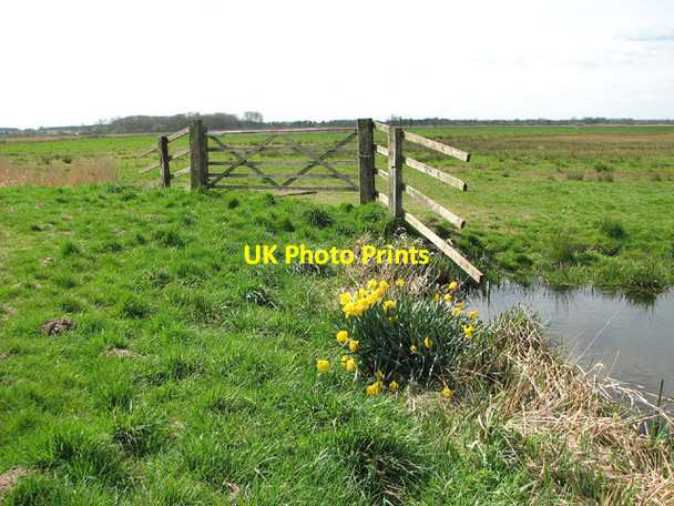 Photo 6"x4" Marsh pastures south of Cantley Cantley\/TG3803 c2013