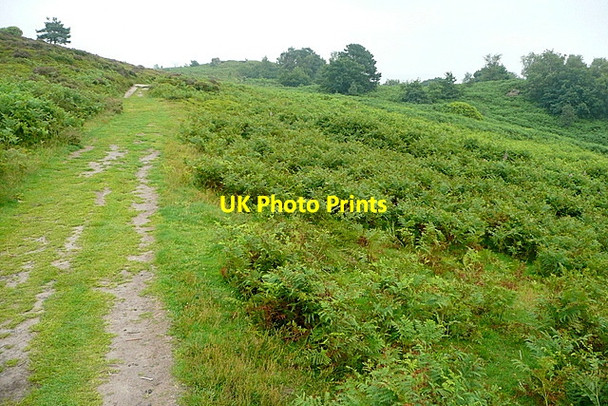 Photo 6"x4" Track on Stanton Moor Birchover c2012