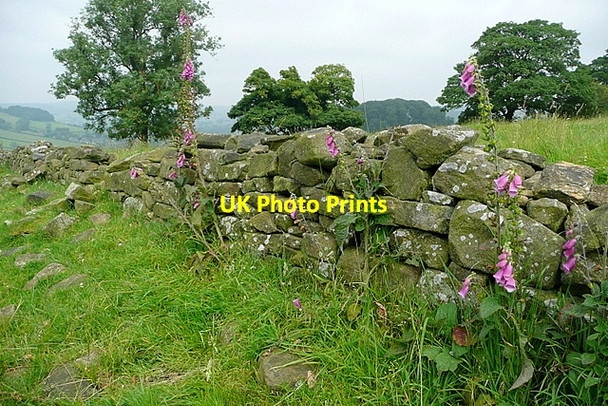 Photo 6"x4" On the footpath to Congreave Stanton in Peak c2012