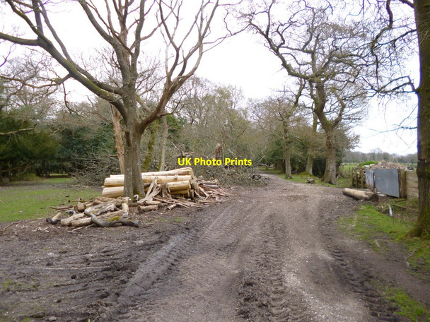 Photo 6"x4" Fritham, timber Fritham c2013