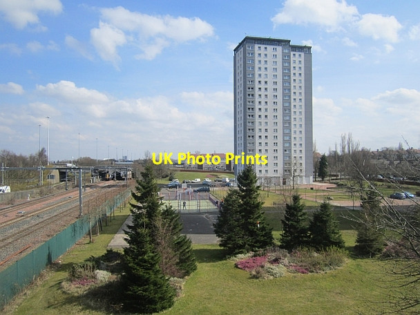 Photo 6"x4" Queensland Gardens Cardonald c2013