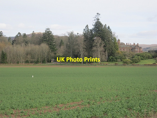Photo 6"x4" Oilseed rape, Auchterarder Auchterarder c2013