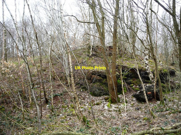 Photo 6"x4" Industrial ruins, Watermills Wood Alsagers Bank c2013