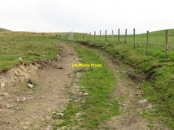 Photo 6"x4" Track leading to grazings on the lower slopes of Slieve Croob Finnis c2011