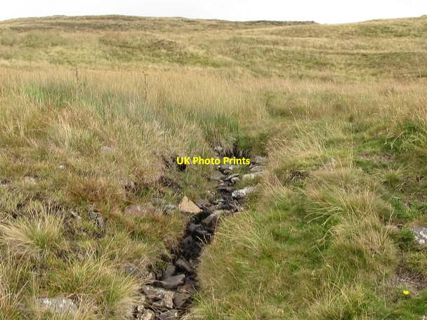 Photo 6"x4" The youthful Lagan on the upper slopes of Slieve Croob Finnis c2011