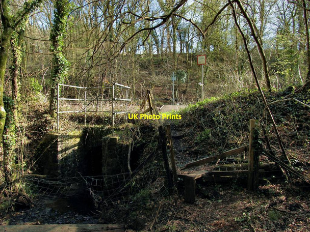 Photo 6"x4" Stile exiting Penllergaer Forest to railway crossing Penllergaer c2013