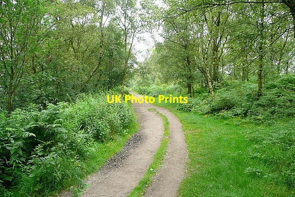 Photo 6"x4" Track to Froggatt Edge Grindleford c2012