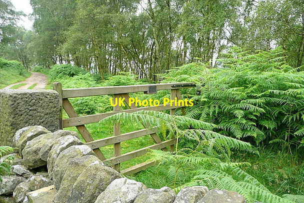 Photo 6"x4" Gate onto Froggatt Edge Froggatt c2012
