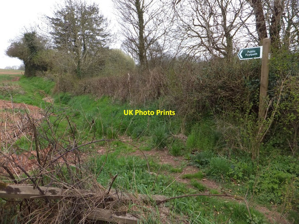 Photo 6"x4" Footpath to West Trecott Trecott c2013