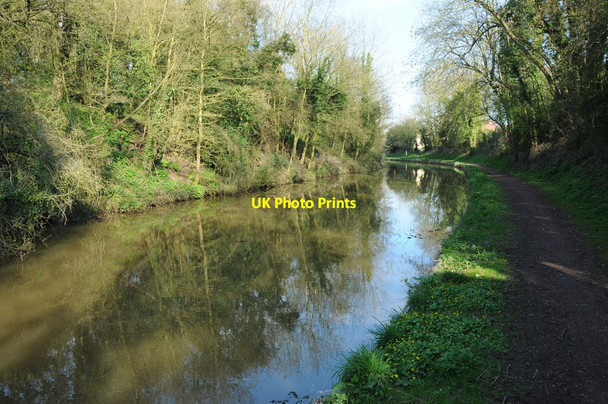 Photo 6"x4" Worcester and Birmingham Canal, Tibberton Oddingley c2013