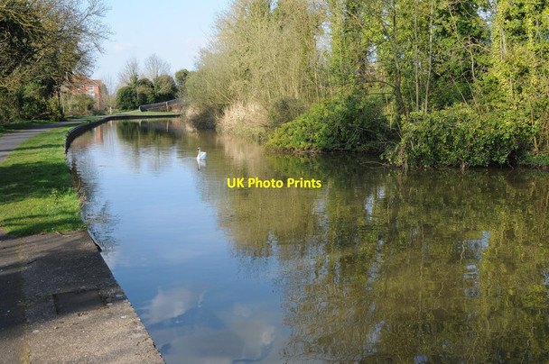 Photo 6"x4" Worcester and Birmingham Canal Worcester c2013