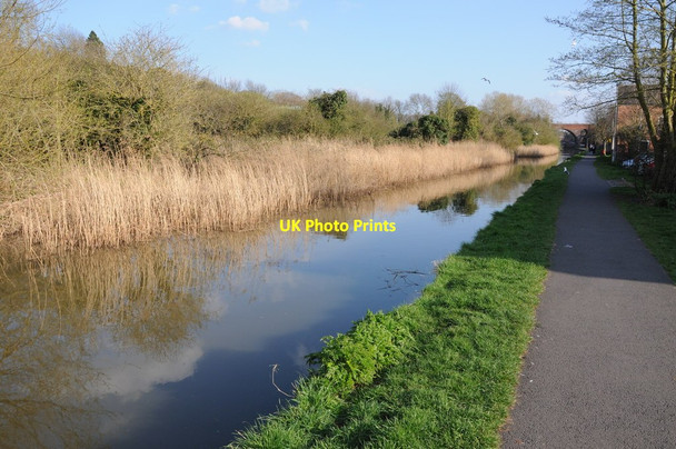 Photo 6"x4" The Worcester and Birmingham Canal Worcester c2013