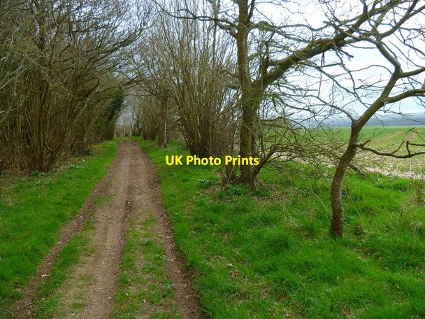 Photo 6"x4" The Orange Way in Wiltshire (118) Baverstock c2013