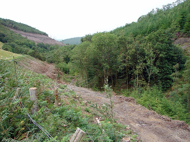 Photo 6"x4" Forestry access track by Nant yr Aber Aberffrwd\/SN6878 c2008