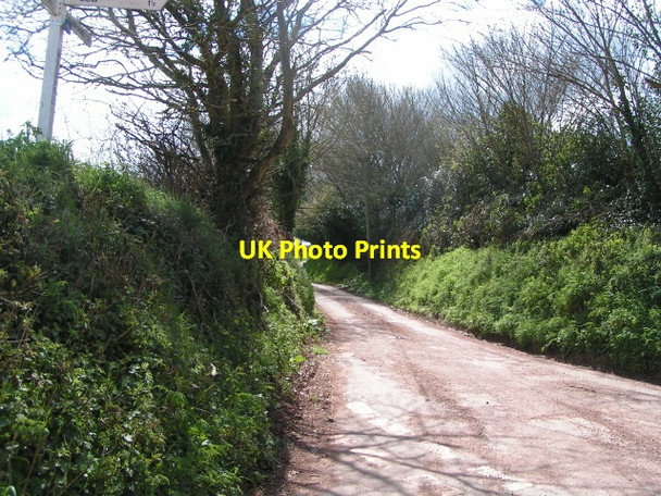 Photo 6"x4" Looking south from Walson Cross Nymet Tracey c2013