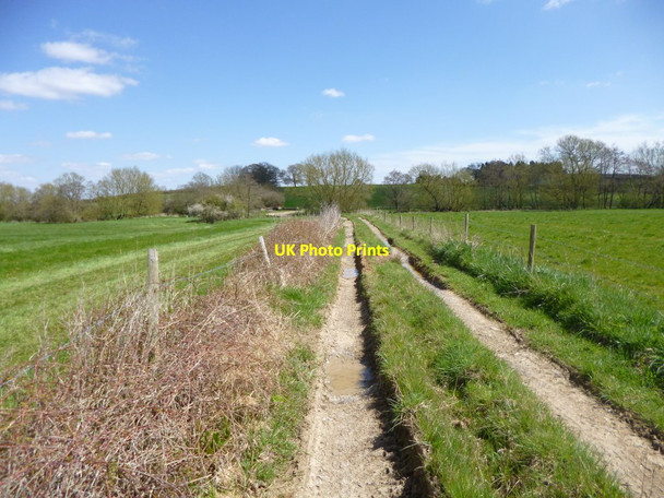 Photo 6"x4" Newton, farm track Newton\/ST7713 c2013