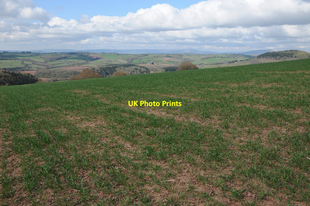 Photo 6"x4" Farmland above the Monnow valley St Maughans Green c2013