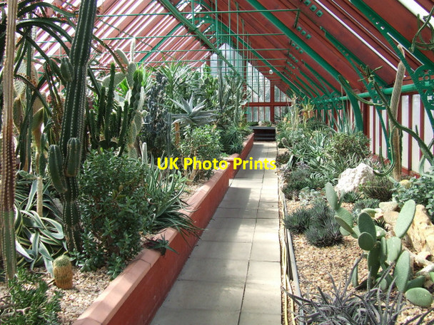Photo 6"x4" Queens Park Rutherglen c2013