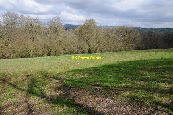 Photo 6"x4" Field on Linthill Crossway\/SO4419 c2013