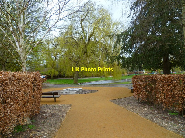 Photo 6"x4" The Orange Way in Wiltshire (170) Salisbury c2013